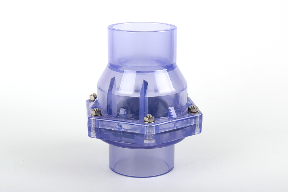 西峡透明翻板式止回阀